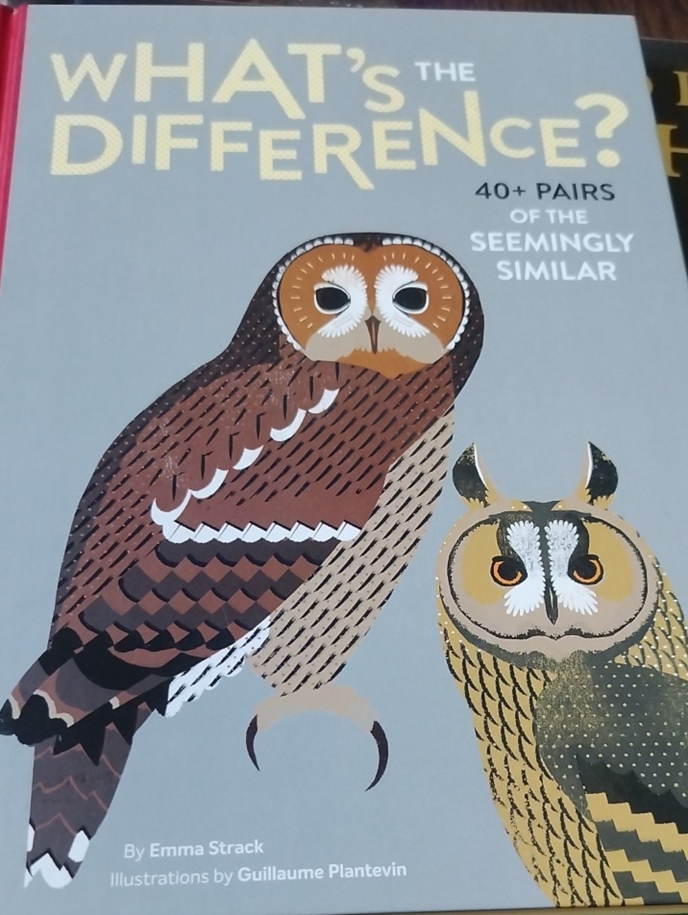 What's the Difference? Birds Book - Brown & Tan Illustrated Cover New